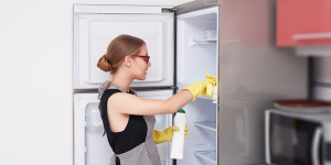 Tự vệ sinh tủ lạnh tại nhà tại sao không?